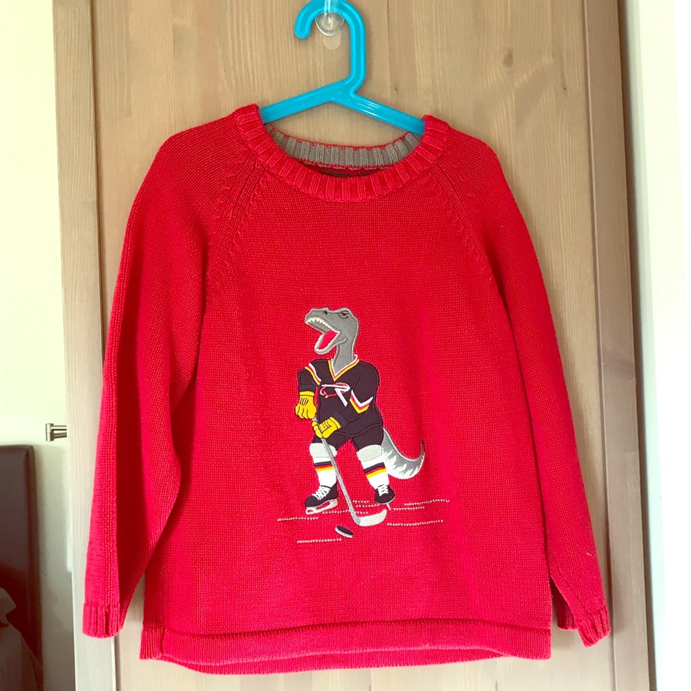 Boys dinosaur hockey sweater